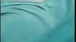 Myd rnd bengali chamet premium video -243