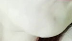 Myd rnd bengali chamet premium video -249