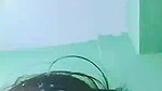Myd rnd bengali chamet premium video -252