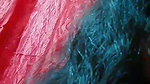 Myd rnd bengali chamet premium video -258
