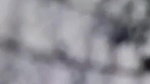 Myd rnd bengali chamet premium video -260