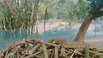 Myd rnd bengali chamet premium video -320