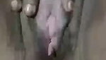 Myd rnd bengali chamet premium video -331