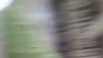 Myd rnd bengali chamet premium video -341