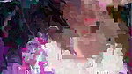 Myd rnd bengali chamet premium video -372