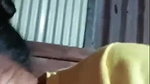 Myd rnd bengali chamet premium video -442