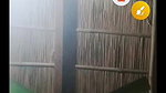 Myd rnd bengali chamet premium video -487