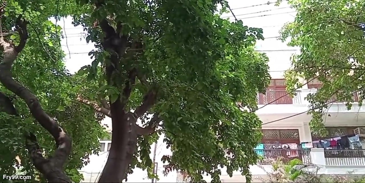 Frame 10