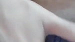 Desi cute girl sexy boobs