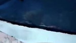 Naira Tango private STRIPCHAT Video