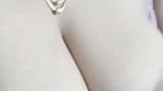 Myd chamet collection 842025222