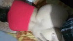 Big ass doggy