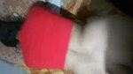 Big ass doggy