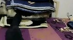Bhabhi captured