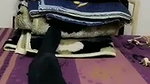 Bhabhi captured