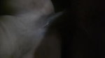 Married Bhabi Fucking