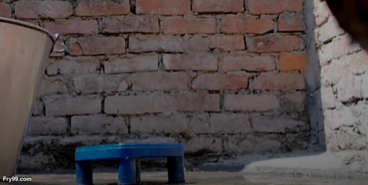Frame 10