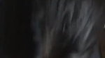 Bj and taking cum on boobs
