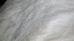 Indian bhabhi husband wife best cudai