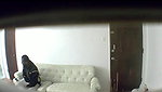 Global prostitute Uncensored video collection – 274