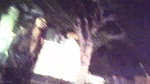 Global prostitute Uncensored video collection – 50