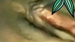 Unsatisfied Horny Bhabi Fingering