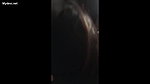 charming gf handjob