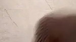 Hijabi Desi Girl Showing