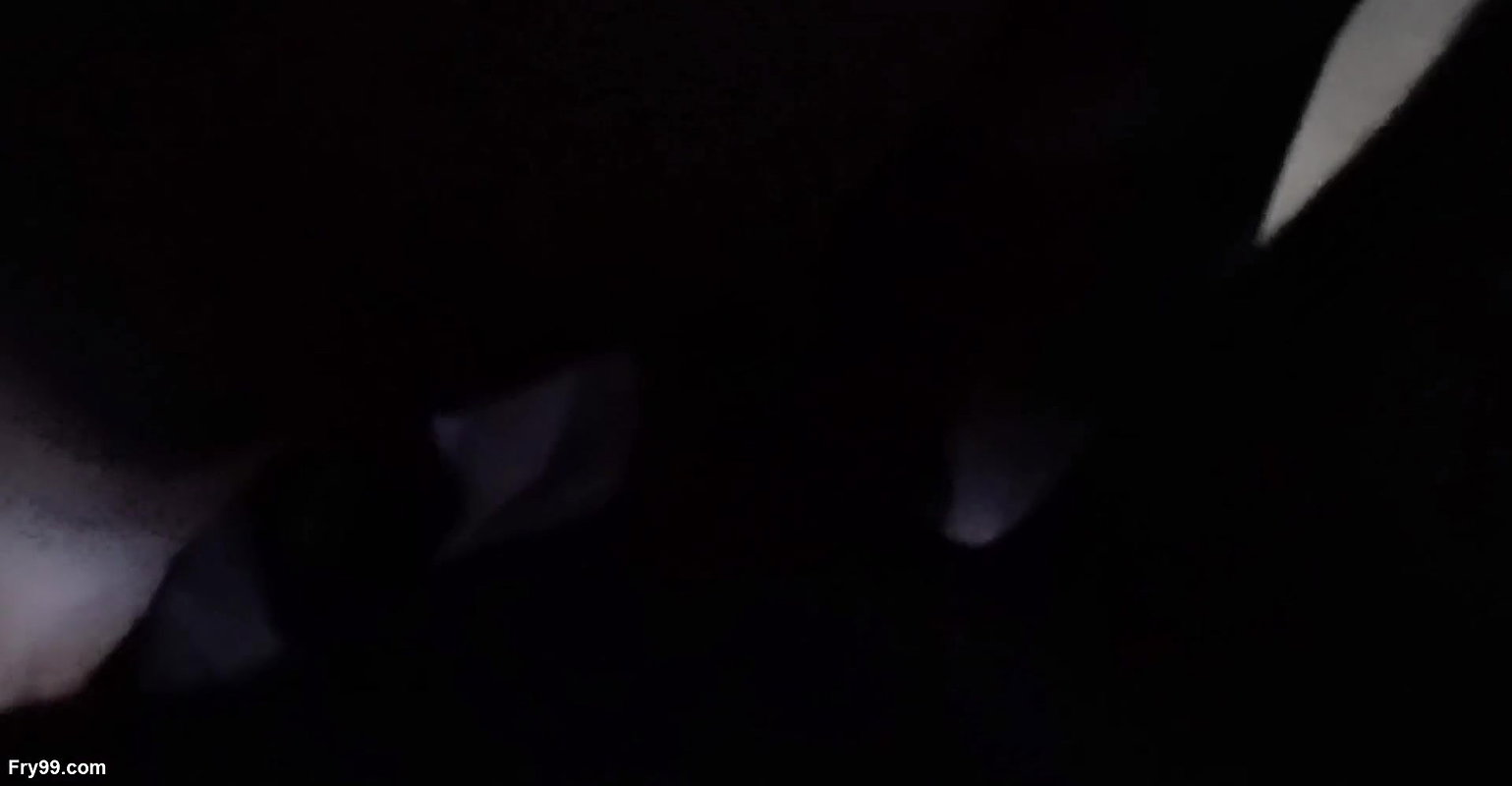 Desi xxx video