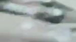 New chamet video collection 2142025-1055