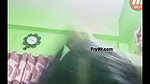 New chamet video collection 2242025-977