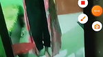 New chamet video collection 2342025-307