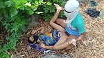 Brother-in-law Took Sister-in-law to the Jungle and Fucked Her a Lot