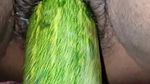 I inserted a 9 inch cucumber into my pussy today
