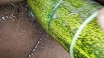 I inserted a 9 inch cucumber into my pussy today
