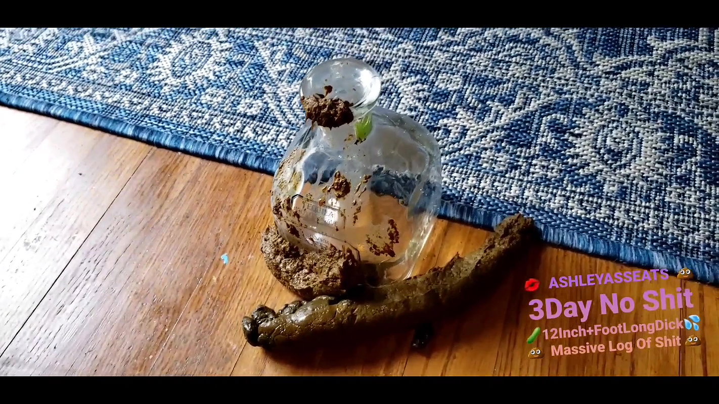AshleyAssEats Ashley AssEats Massive 12Inch POOPTRON Shit Logs