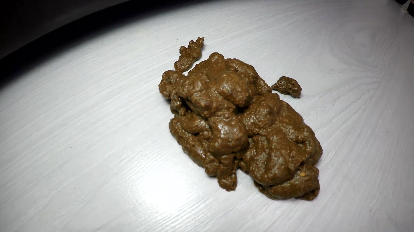 janet I Said Eat My Shit