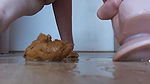 lillyandnegro Shitting dildo
