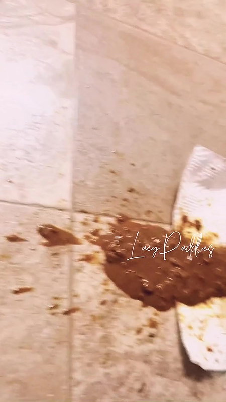 LucyPuddles Gassy Diarrhea 2