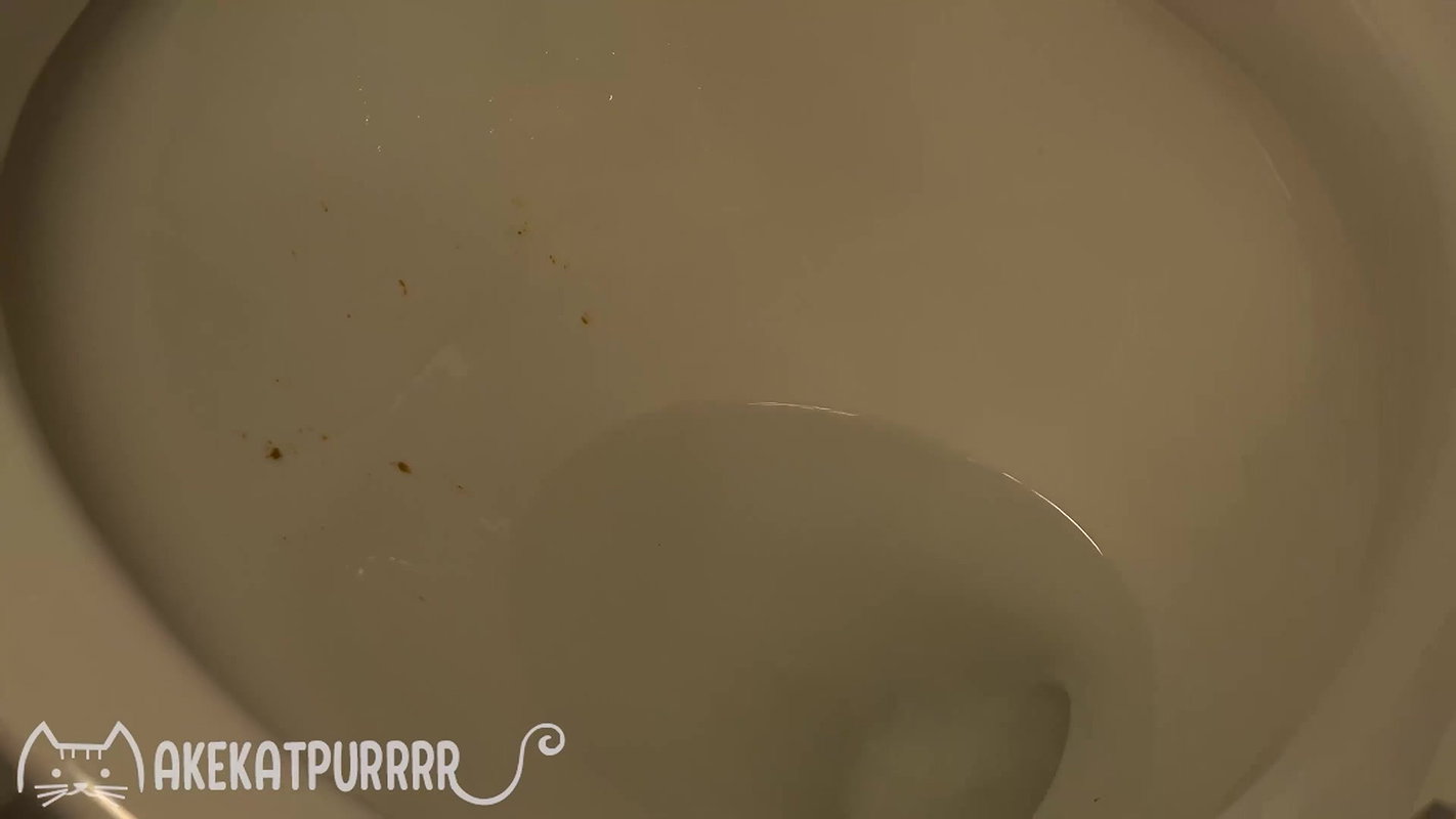 MakeKatPurrrr Shitting For You Vol. 3