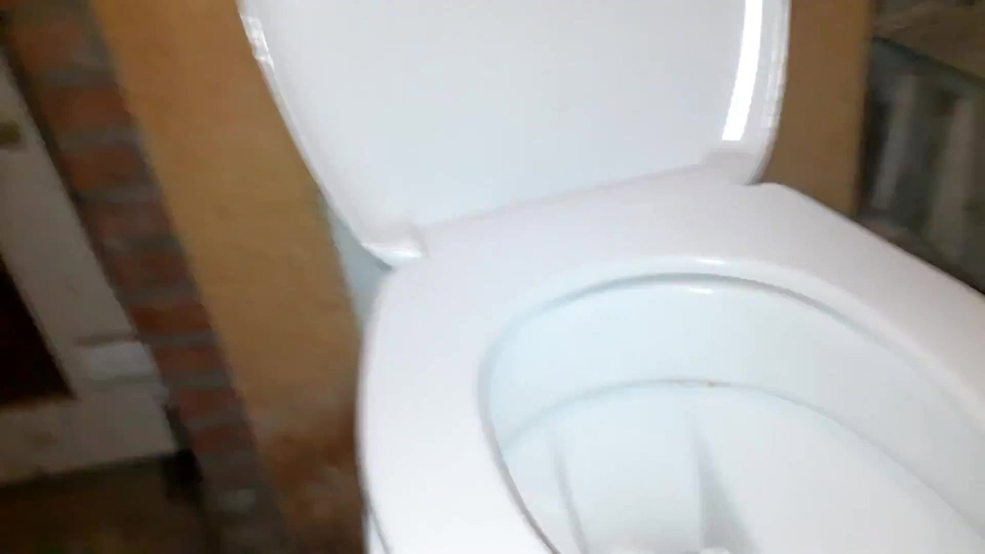 XOBunny Shittting squatting on top of the toilet