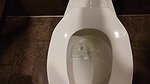 ughty peeing in a casino bathroom fun