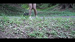 tra Beatiful girl pissing