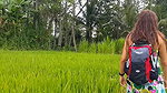 ssing in Public Rice Fields
