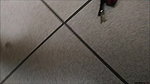 ssing on the floor of a corner store
