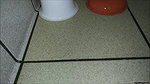 ssing on the floor of a corner store