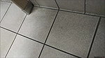 ssing on the floor of a corner store