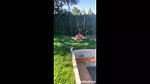 riana Chechik and Judy Jolie Piss in the back Yard
