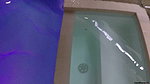 ndiecane Peeing All Over You In A Hotel