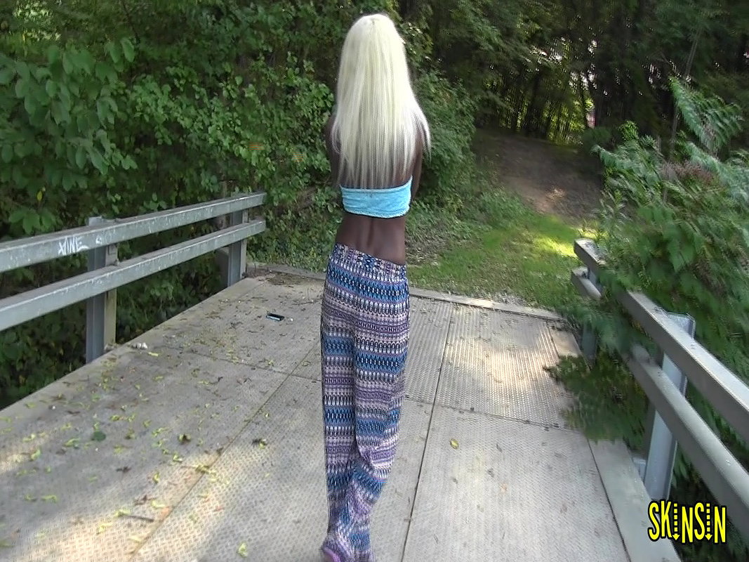 insin park bridge pee doggy